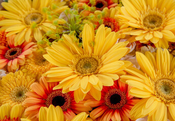 Flower arrangement with red and yellow gerberas.