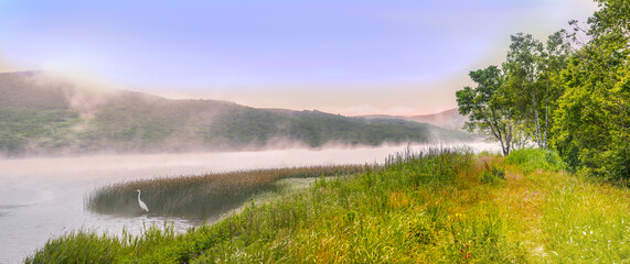 Foggy morning on a wild lake