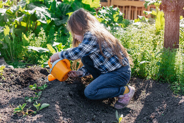 Beautiful little girl watering strawberry seedlings with a watering can. The concept of nature conservation and agriculture.