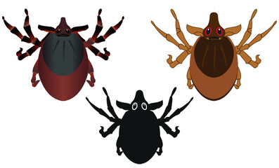 Realistic tick and silhouette ticks vector