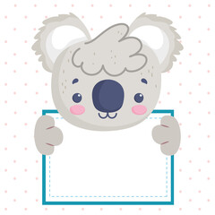 koala holds banner © Stockgiu
