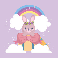 rabbit inside gift box