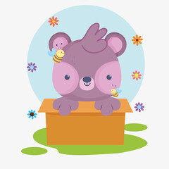 bear in box cartoon