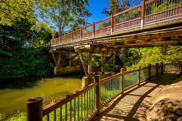 Obraz premium Footpath under the wooden bridge in Eungella National Park, Queensland, Australia