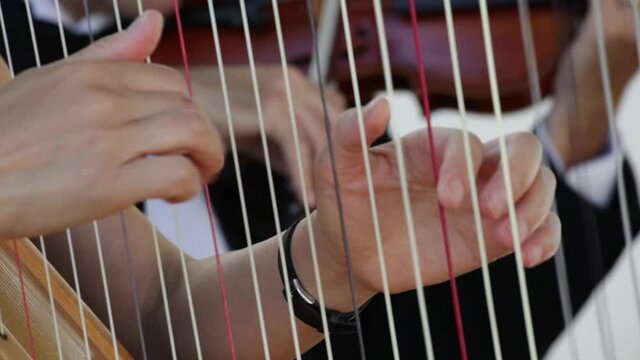 Harpist with violinist in background