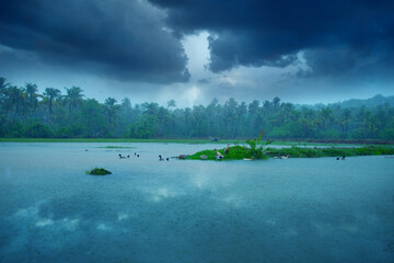 Beautiful scenery rainy day, Landscape Photography - rainy day with cloudy sky, Monsoon rainfall hits Kerala, Beautiful nature photography, Rainfall, Monsoon season