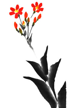 62 Best 檜扇 Images Stock Photos Vectors Adobe Stock