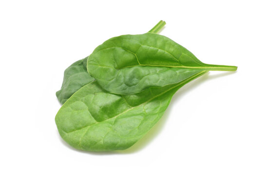 Raw green fresh spinach leaves closed up isolated on white