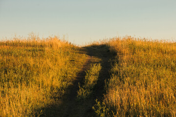 Fototapeta na wymiar path in field at sunset