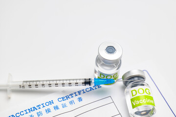 犬の予防注射イメージ