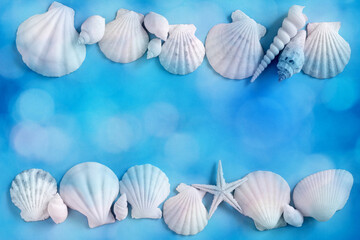 Obraz na płótnie Canvas Shells on a blue background 