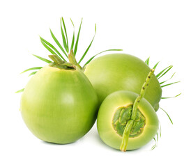 Coconut isolated on white background.