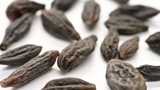 angle view herb XiQingGuo or Chebulae Fructus Immaturus or Immature fruit of Medicine Terminalia rotating