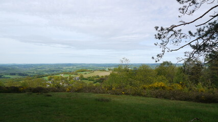 Obraz premium forêt verdoyante dans le Limousin (France)