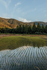 field mountain water reflection green sky