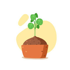 Potted plant vector, an illustration of indoor plant, Stephania Erecta for house decoration and the garden. Houseplant isolated in white background in cute cartoon style.