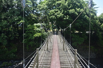 Fototapeta premium 裾野市中央公園吊り橋