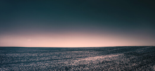 Surreales Panorama Poster im Minimalismus Style bei einem  leeren Feld mitten im Sommer im...