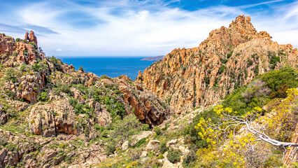Corse, Piana, Scandola