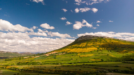 Fototapeta premium Genista blossom, in the mountains of Northern Spain