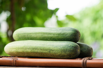 Cucumber fruits on natural background.