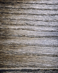 Fototapeta premium natural wood board closeup, brown pattern background