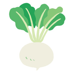 食べ物_食材_野菜_かぶ_線無し