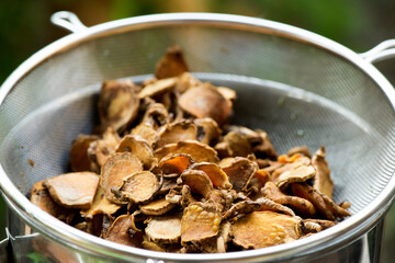 Zingiber montanum or phlai rhizome are extracted with oil on  natural background.