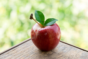 Red apple fruit on nature background.