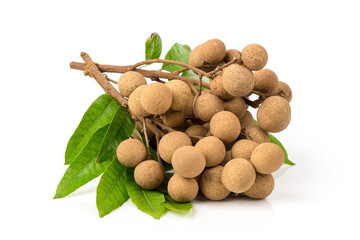 Dimocarpus longan fruits isolated on white background.