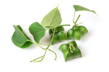 Sacha inchi fruits isolated on white background.