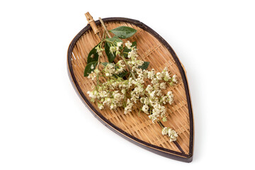 Henna or Lawsonia inermis flowers isolated on white background.top view,flat lay.