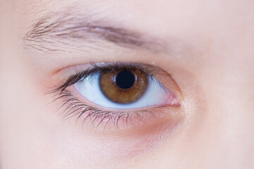 The brown eye of a child. Close-up photo.