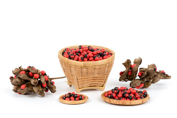 American pie or abrus precatorius seeds isolated on white background.