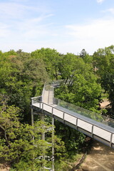 a path through the treetops 