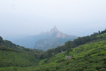 View of rangaswamy peek in kodanadu in the early morning. clouds passing / touching top of the peek or mountain in kodanadu