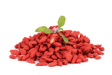 Dried goji berry fruits and flower isolated on white background. © wasanajai