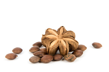 Dried sacha inchi fruits and seeds isolated on white background.