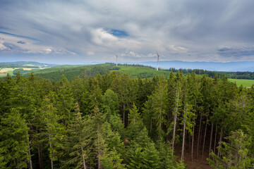 Schwarzwald bei Biederbach