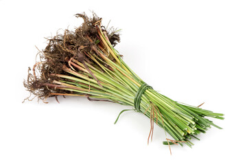 Nut grass isolated on white background.
