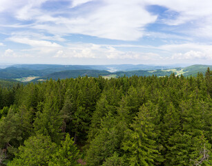 Fototapeta premium Schwarzwald bei Biederbach