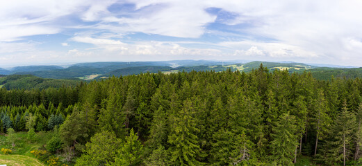 Schwarzwald bei Biederbach