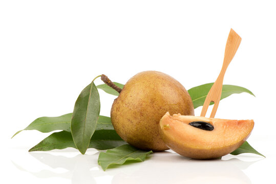 Sapodilla or manilkara zapota fruits isolated on white background.