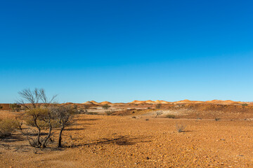 The eroded landscapes around the painted hills, part of an ancient seabed which has been eroded of the past 80 million years. 