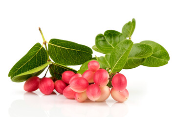Bengal-currants, carandas-plum, karanda or carissa carandas fruits isolated on white background.