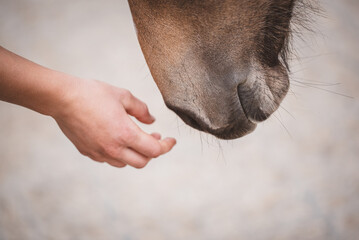 Berührungen / kennen lernen © Petra Fischer