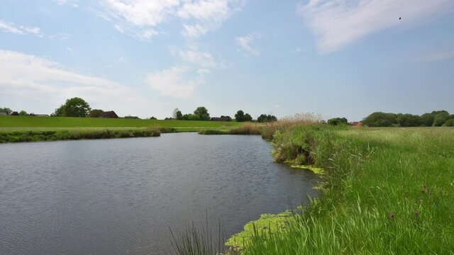 Elbeaue - Landschaft an der Elbe im Sommer