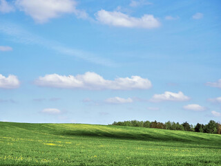 Scenery. Blue sky with white clouds and green hilly field.
