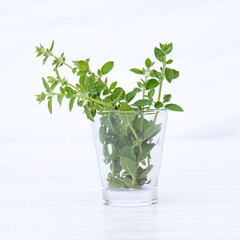 Spezie da cucina, timo su bicchiere in vetro e sfondo bianco stillife/Foodphotography