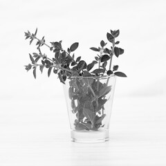 Spezie da cucina, timo su bicchiere in vetro e sfondo bianco stillife/Foodphotography in bianco e nero 
